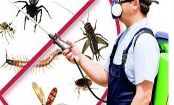 Harbi Köfte Böcek İlaçlama Hizmeti Hakkında